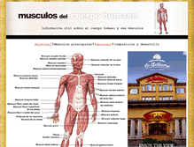 Tablet Screenshot of musculoscuerpohumano.com